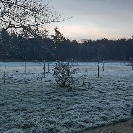 Natuurslaapkamer De Zaadeest Boskamer Lomm Kültér fotó