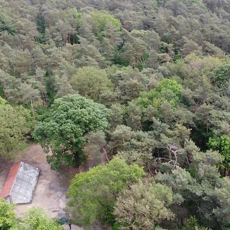 Natuurslaapkamer De Zaadeest Boskamer Lomm Kültér fotó