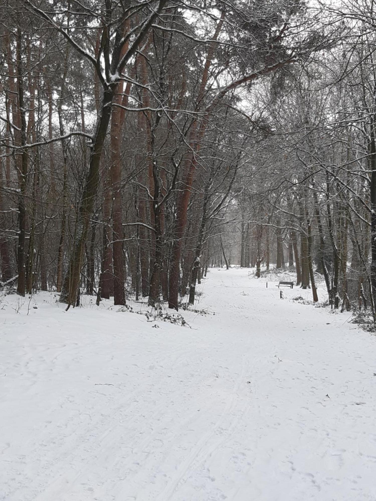 Natuurslaapkamer De Zaadeest Boskamer Lomm Kültér fotó